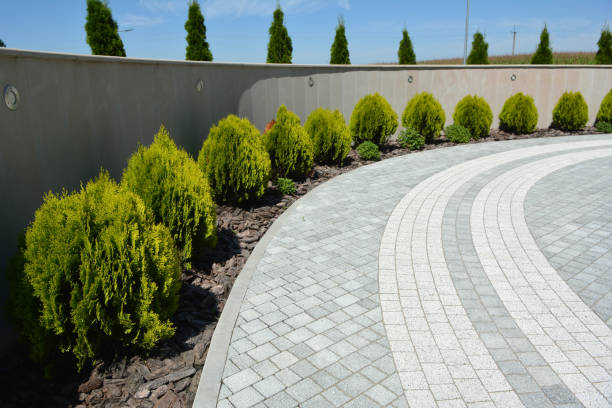 Reasons to Select Us for Your Driveway Paving Requirements in Cedar Ridge, CA